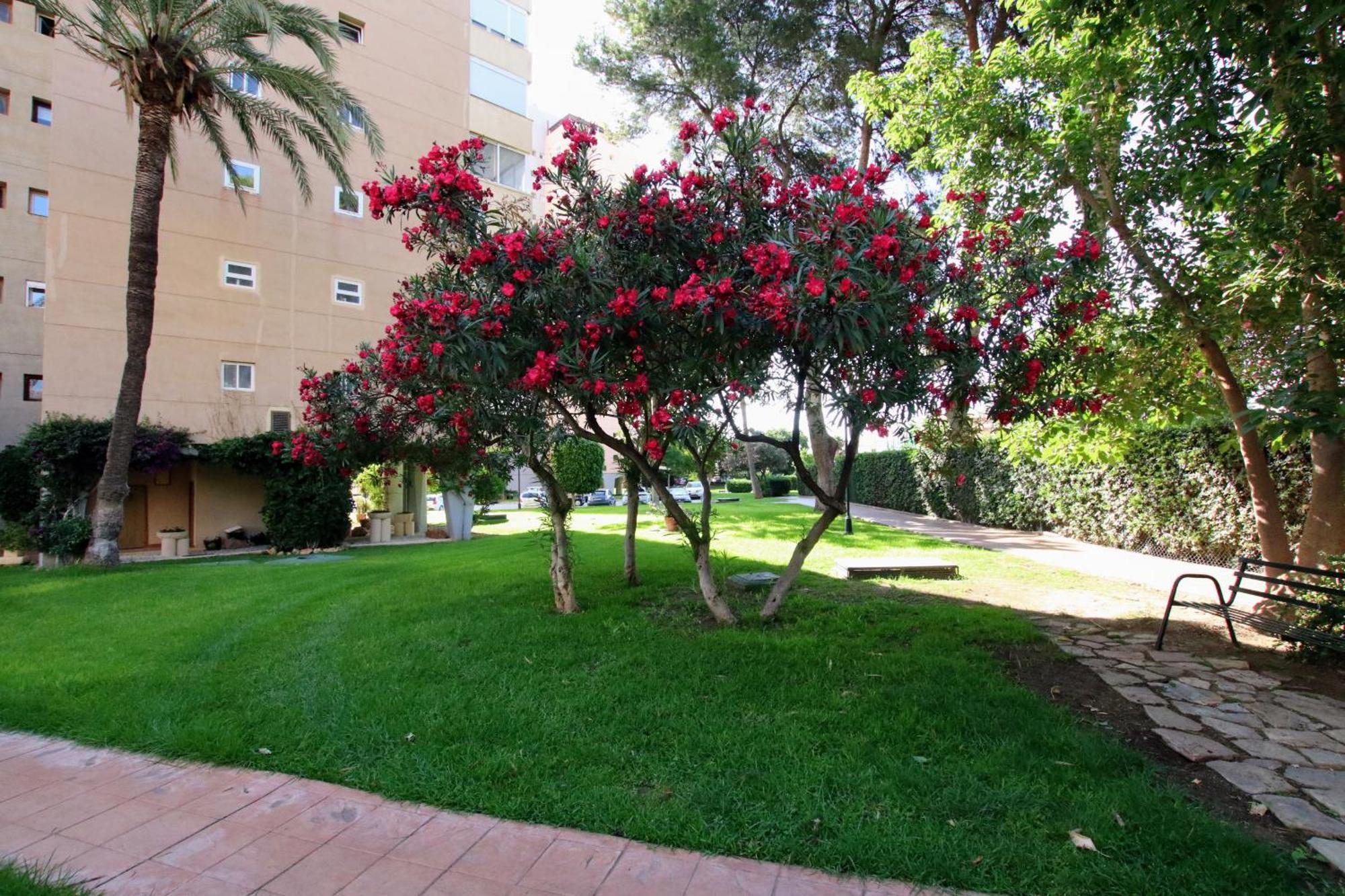 Tess Playamar La Torre Διαμέρισμα Τορρεμολίνος Εξωτερικό φωτογραφία